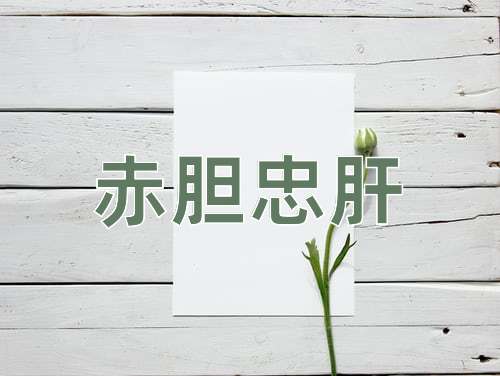 成语赤胆忠肝