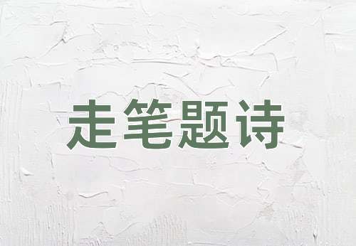 成语走笔题诗