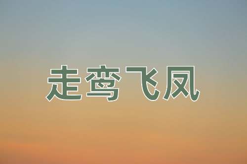 成语走鸾飞凤