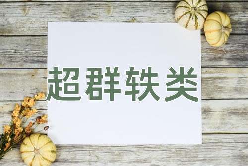 成语超群轶类