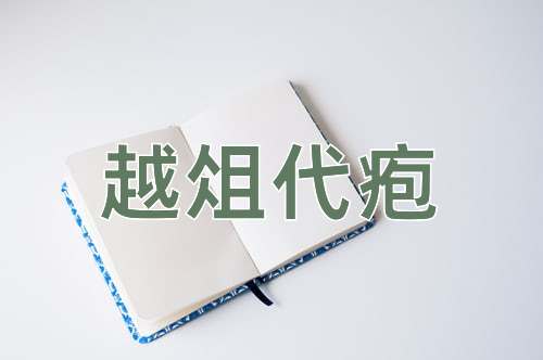 成语越俎代疱