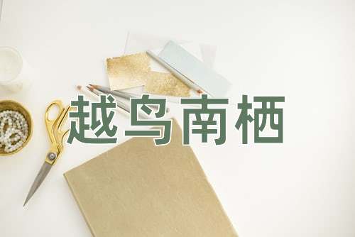成语越鸟南栖