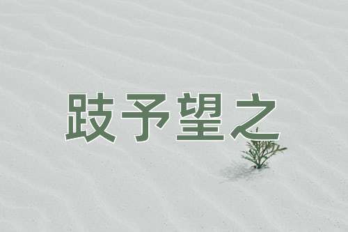 成语跂予望之