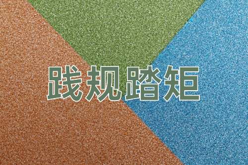 成语践规踏矩