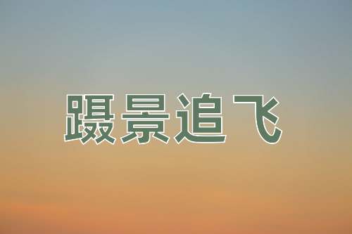 成语蹑景追飞
