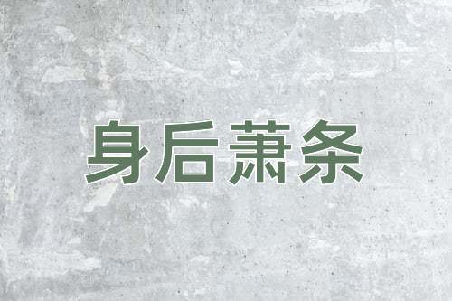 成语身后萧条