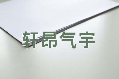 成语轩昂气宇