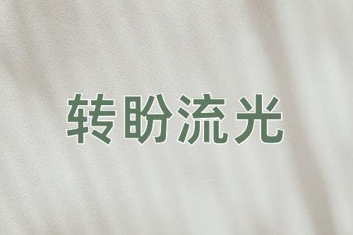 成语转盼流光