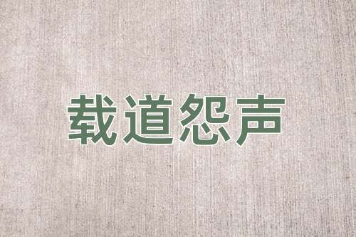 成语载道怨声