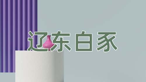 成语辽东白豕