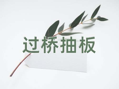 成语过桥抽板