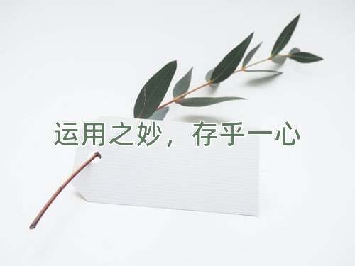 成语运用之妙，存乎一心