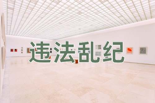 成语违法乱纪