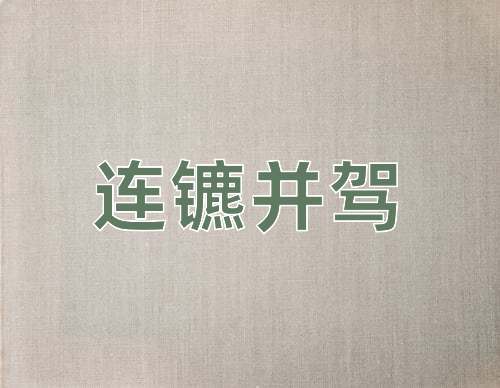 成语连镳并驾