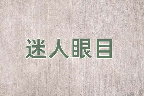 成语迷人眼目