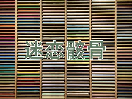 成语迷恋骸骨