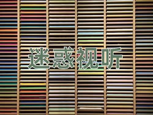 成语迷惑视听
