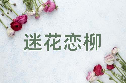 成语迷花恋柳