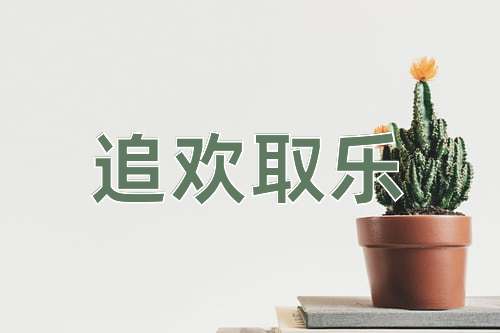 成语追欢取乐