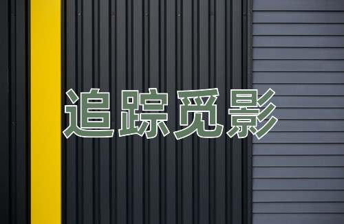 成语追踪觅影