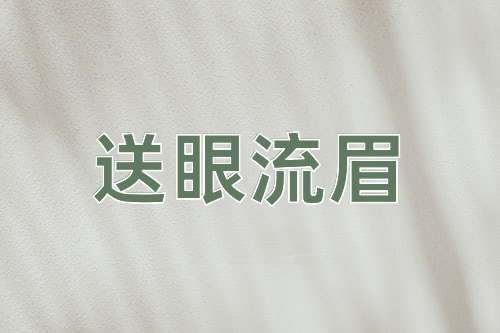 成语送眼流眉