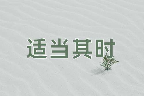 成语适当其时