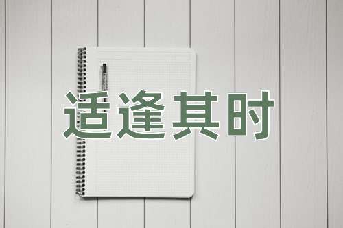 成语适逢其时