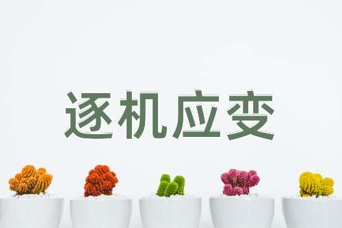 成语逐机应变
