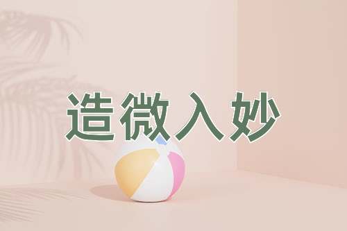 成语造微入妙