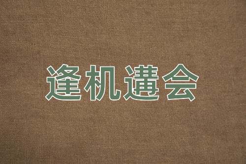 成语逢机遘会