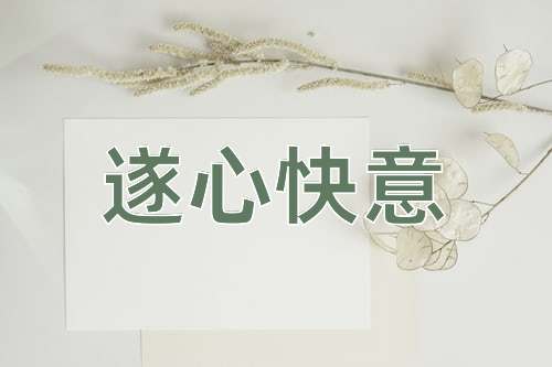 成语遂心快意