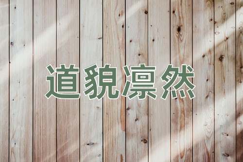 成语道貌凛然
