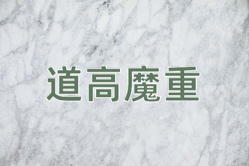 成语道高魔重