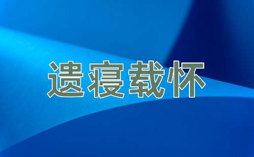 成语遗寝载怀