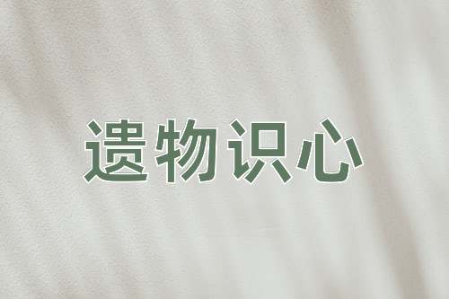 成语遗物识心
