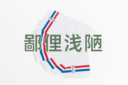 成语鄙俚浅陋