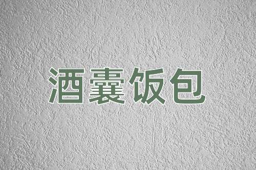 成语酒囊饭包
