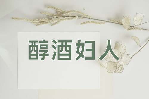 成语醇酒妇人