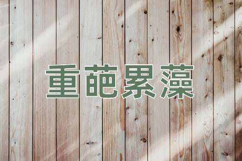 成语重葩累藻