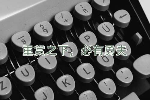 成语重赏之下，必有勇夫