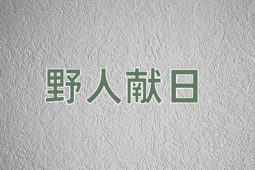 成语野人献日