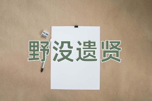 成语野没遗贤