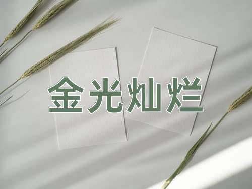 成语金光灿烂