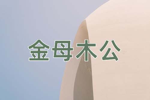 成语金母木公