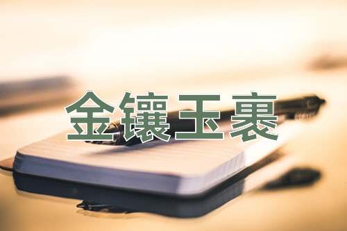 成语金镶玉裹
