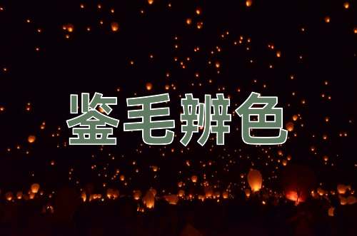 成语鉴毛辨色
