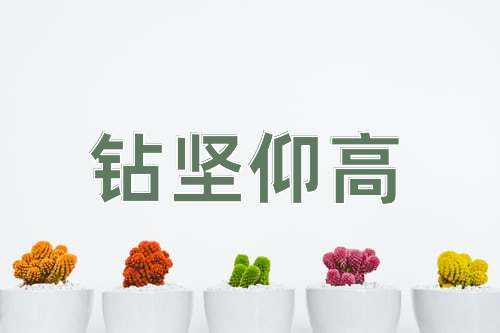 成语钻坚仰高