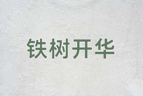 成语铁树开华
