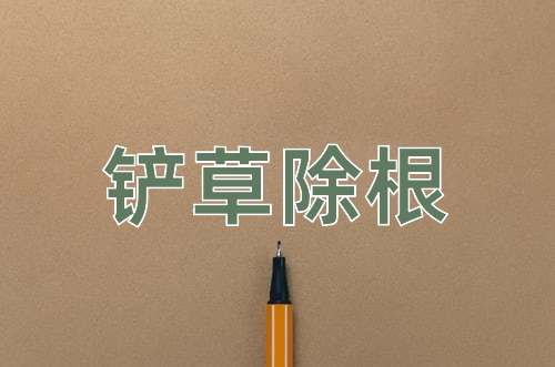 成语铲草除根
