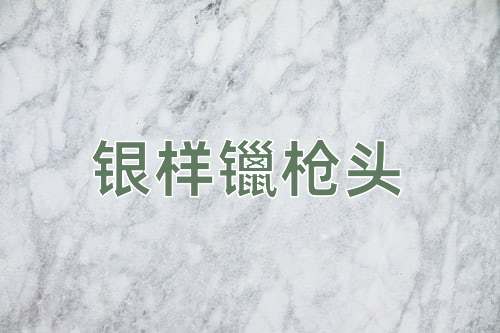 成语银样镴枪头